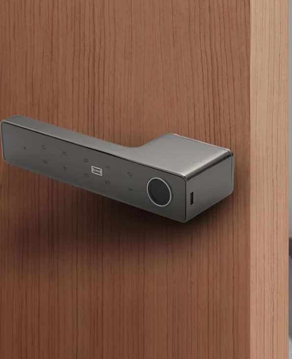 Умная дверная ручка-замок Smart 01 Platinum Gray с отпечатком пальца и поддержкой Smart Life (Платиново-серый)